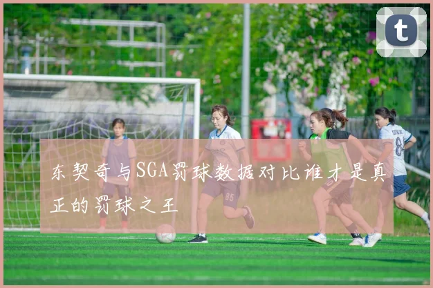 东契奇与SGA罚球数据对比谁才是真正的罚球之王